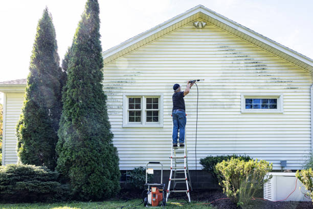 Best Gutter Cleaning  in Nesconset, NY